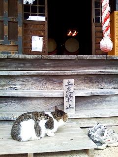 法華経寺は猫でも有名