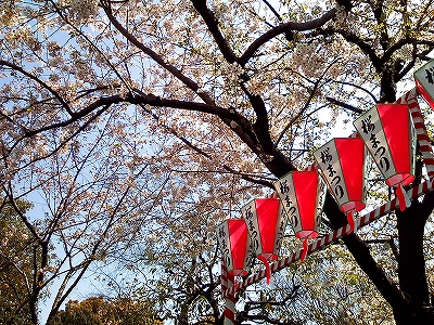 隅田公園花まつり