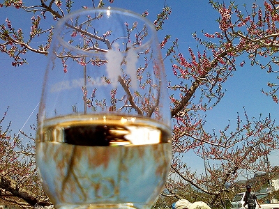 桃とワイン